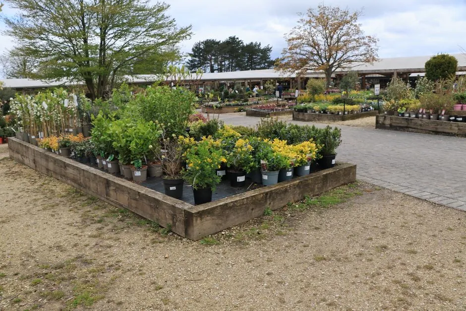 Orlando Fernandez au travail dans un jardin de la region clermontoise